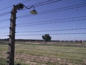 Auschwitz-Birkenau