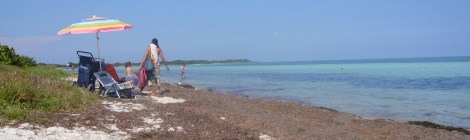 Sea Grass Is A Poor Substitute For Sand