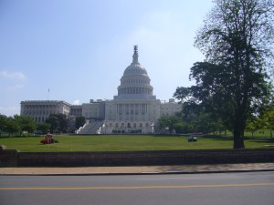 American Culture, Woo!