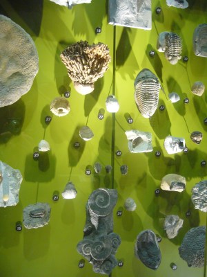 I Had Ambitions Once