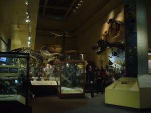 Super Killer Death Lizards!