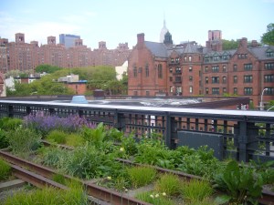 You Can Just Make Out The Empire State Building In The Background