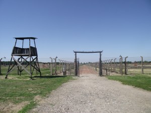 Auschwitz 