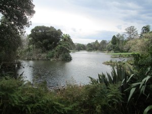 The Royal Botanic Gardens