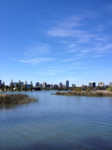 Albert Park
