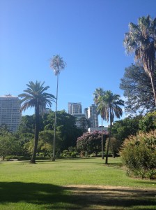 Brisbane Botanical Gardens