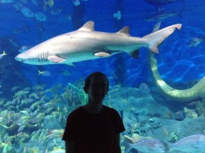 Chris & A Shark