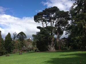 Melbourne Royal Botanical Gardens