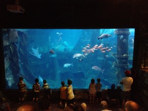 Oceanarium