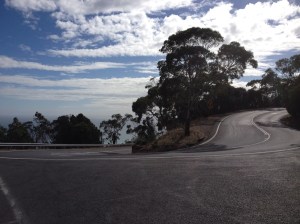 Arthur's Seat Winding Roads