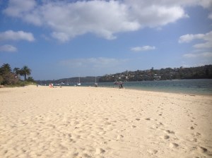 A Beach In Sydney Harbour