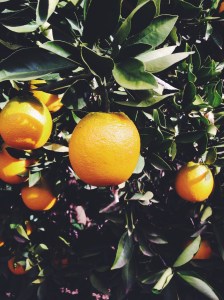 Processed with VSCOcam with f2 preset