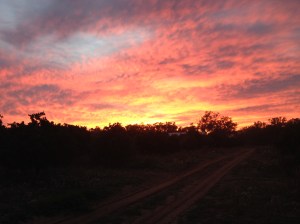 Sunrise In Hazeldell