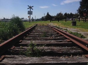 End Of The Lilydale Line