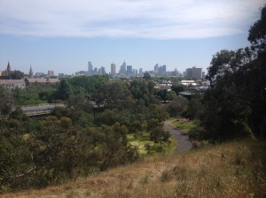 Melbourne Skyline From Yarra Bend Park