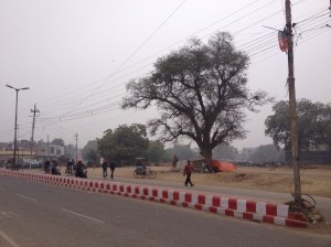 A Street In Agra