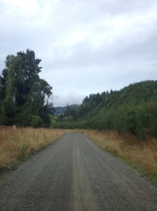 A Backroad in Rural New Zealand