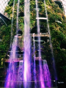 Cloud Forest Waterfall