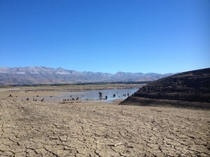 The Dry Bed of Lake Opuha