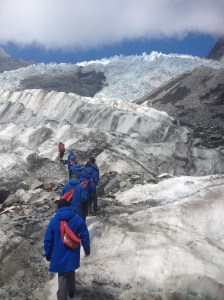 A Tour Group On The Franz Josef Glacier