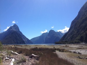 Milford Sound At Low Tide