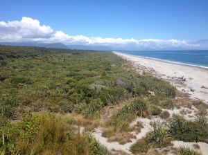The View From Ship Creek
