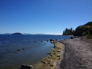 Lake Taupo's Shores