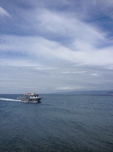 The Boat To Kapiti Island