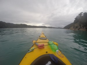 view from the cockpit