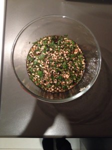 Ale And Coriander Marinade