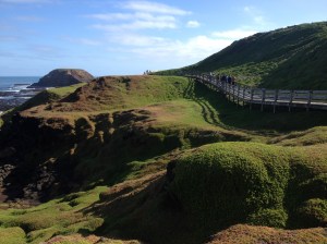 The Nobbies Boardwalk