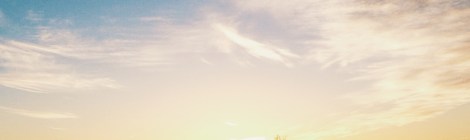 A kangaroo silhouetted by the sun.