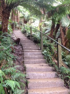 Some of the 1000 Steps.