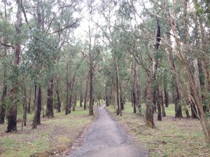 A stretch of the Belview Terrace.