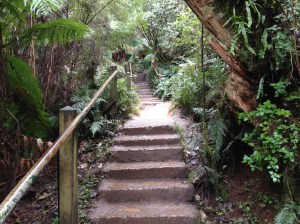 The Kokoda Memorial Trail. 