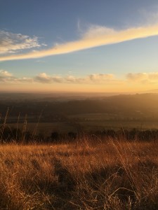 dusk-on-box-hill