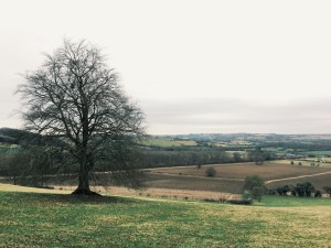 Old Winchester Hill