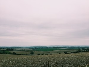The South Downs Near the Source of the Itchen