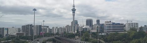 The Road Into Auckland