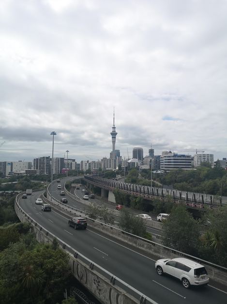 The Road Into Auckland