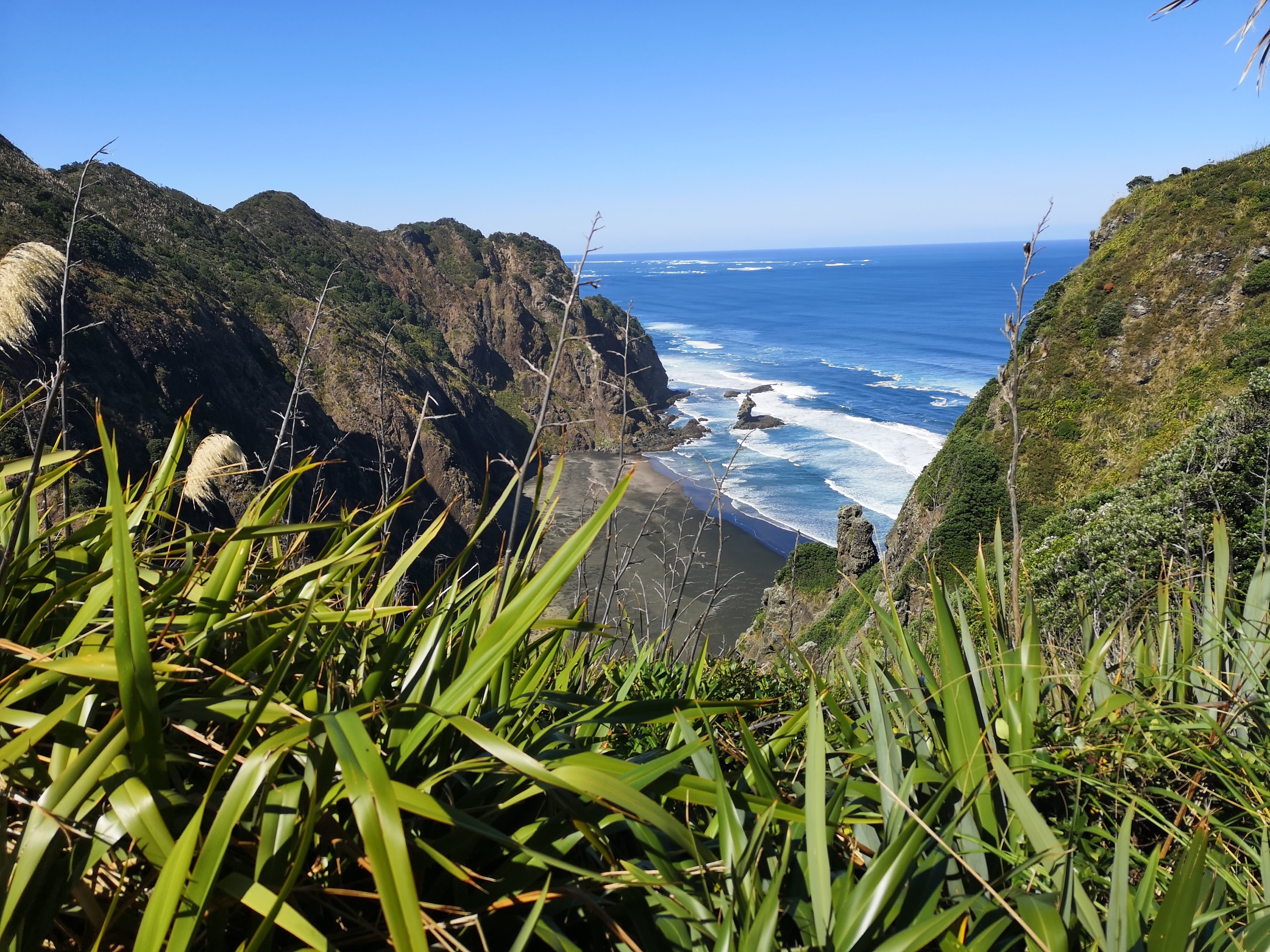 Overlooking Karekare Beach