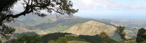 Hemi Matenga Lookout