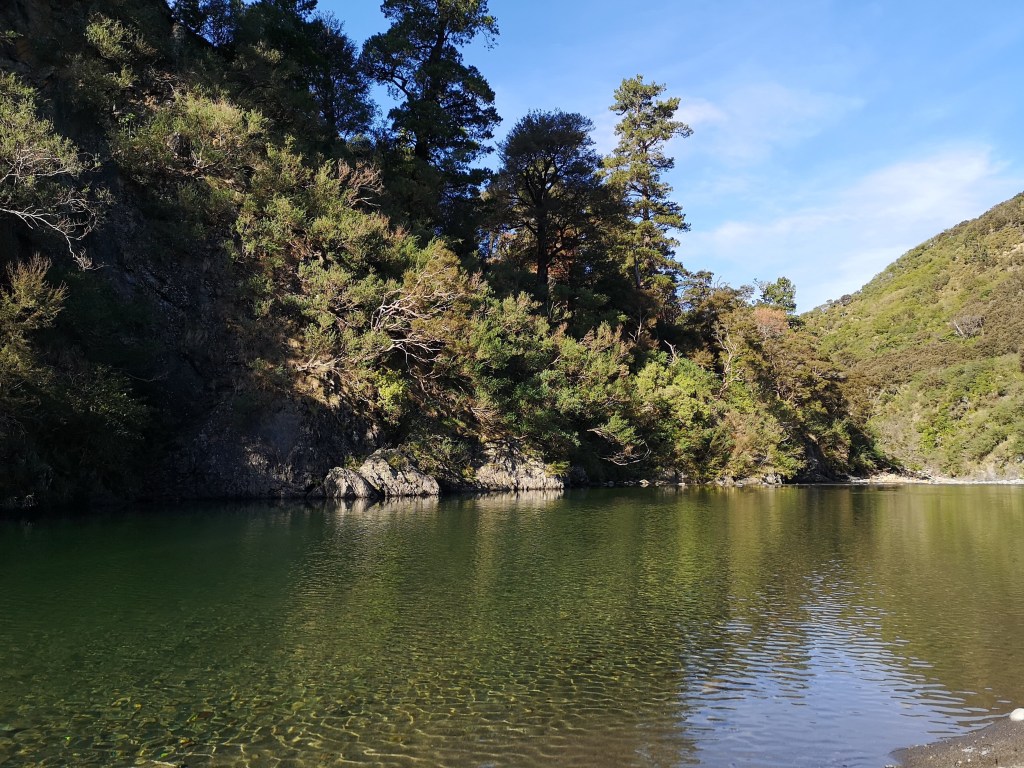 Bucks Road Swimming Hole