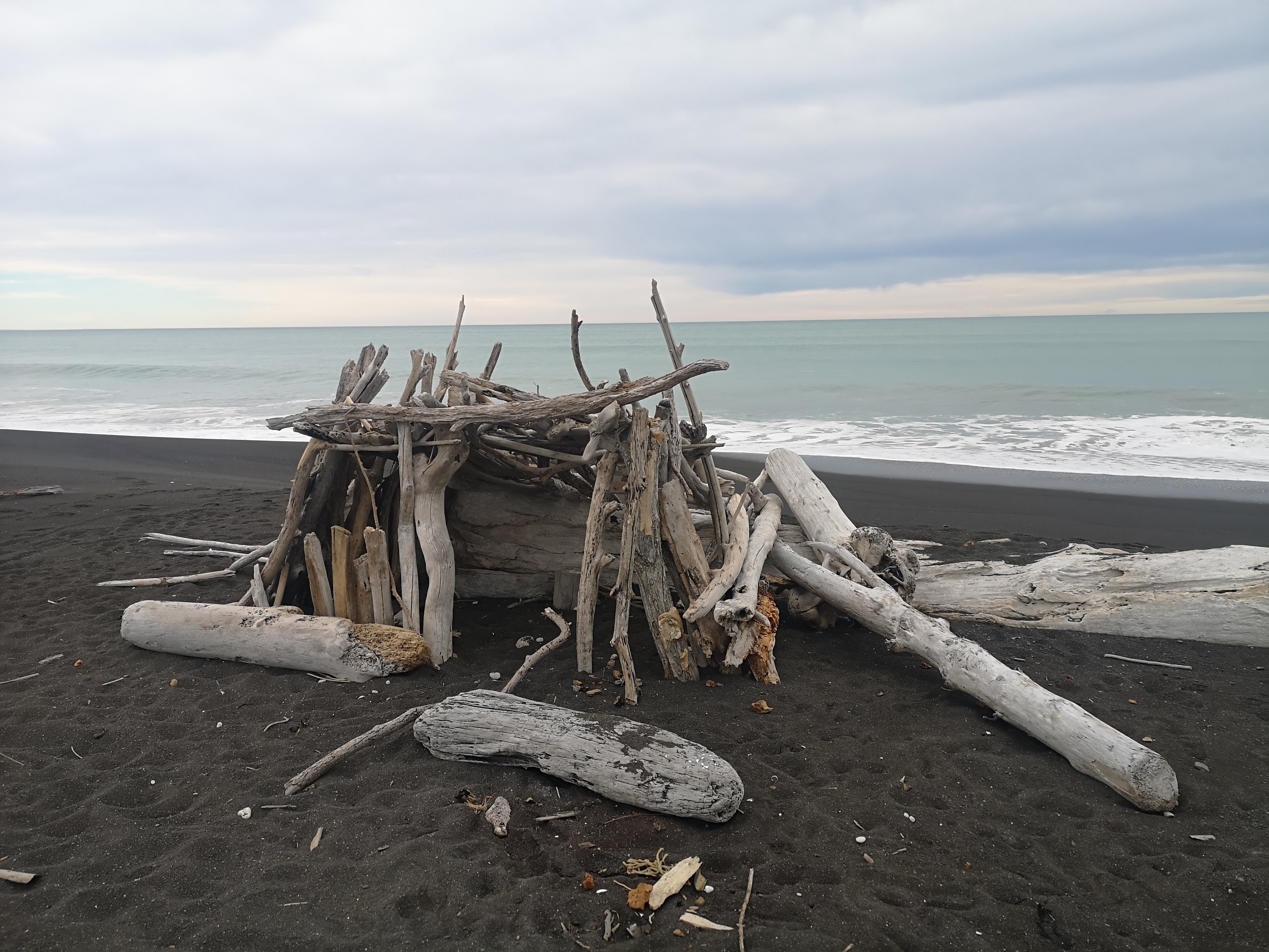 Driftwood Shelter