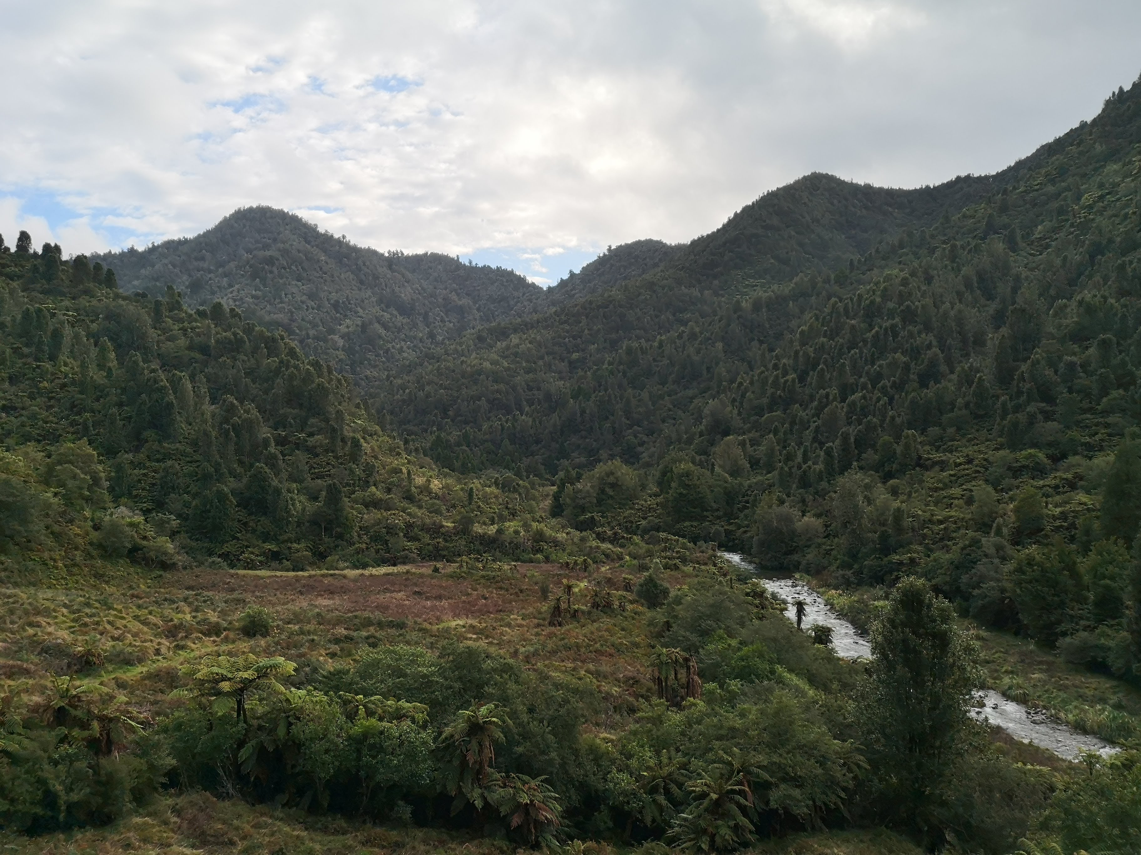 Waioeka Gorge
