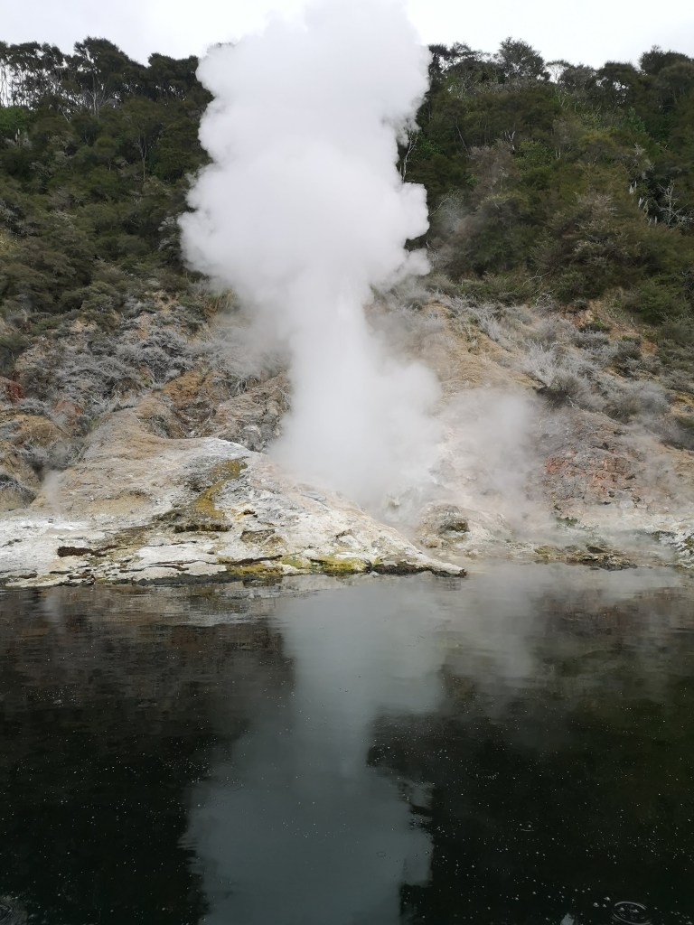 Rotomahana Geyser