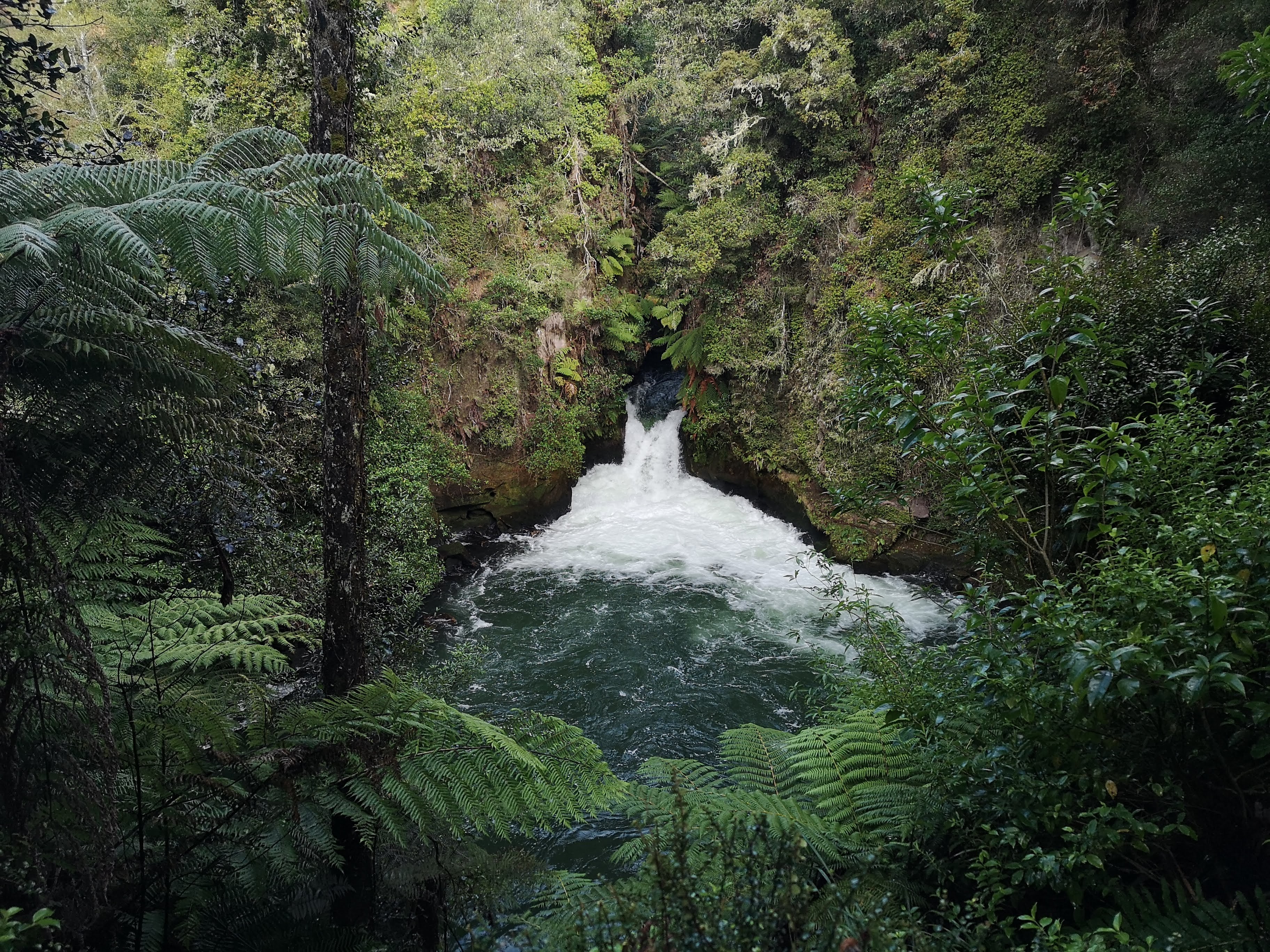 Tutea Falls